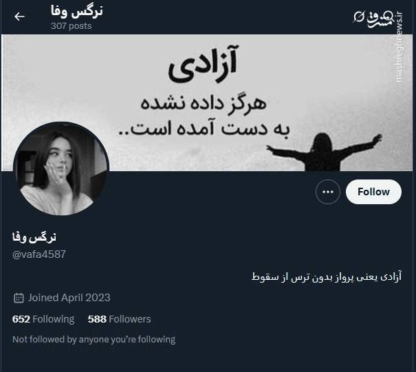 شبکه مشترک پرستوهای موساد و سلطنتطلبان برای عملیات «فرار از زندان»/ نام رمز جنگ سایبری اسرائیل علیه ایران چه بود؟ + تصاویر 68