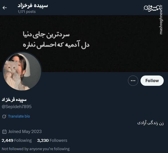 شبکه مشترک پرستوهای موساد و سلطنتطلبان برای عملیات «فرار از زندان»/ نام رمز جنگ سایبری اسرائیل علیه ایران چه بود؟ + تصاویر 63