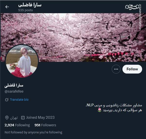 شبکه مشترک پرستوهای موساد و سلطنتطلبان برای عملیات «فرار از زندان»/ نام رمز جنگ سایبری اسرائیل علیه ایران چه بود؟ + تصاویر 62