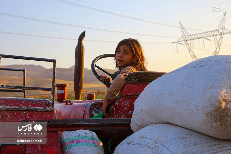 عکس / زندگی عشایر کرمانشاه 18