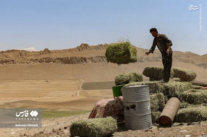 عکس / زندگی عشایر کرمانشاه 24