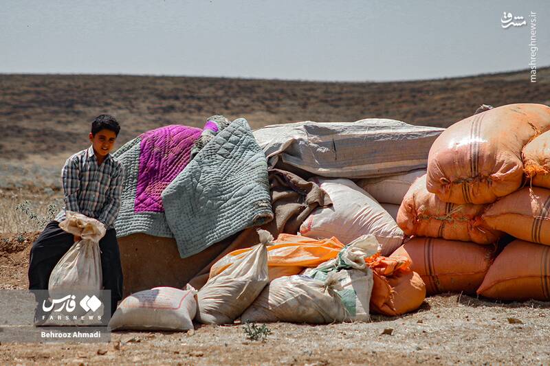 عکس / زندگی عشایر کرمانشاه 23