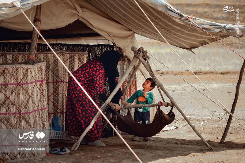 عکس / زندگی عشایر کرمانشاه 20