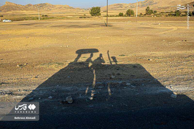 عکس / زندگی عشایر کرمانشاه 7