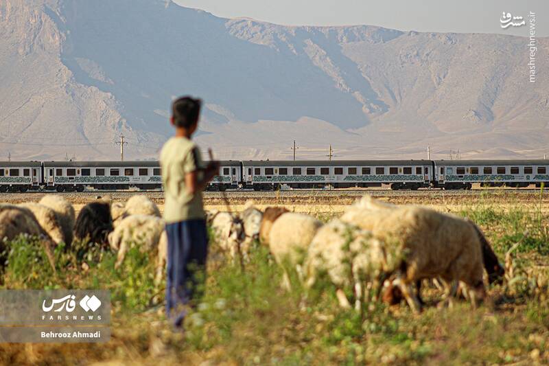 عکس / زندگی عشایر کرمانشاه 19