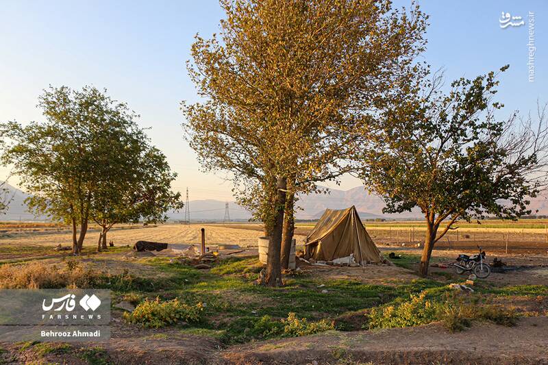 عکس / زندگی عشایر کرمانشاه 10