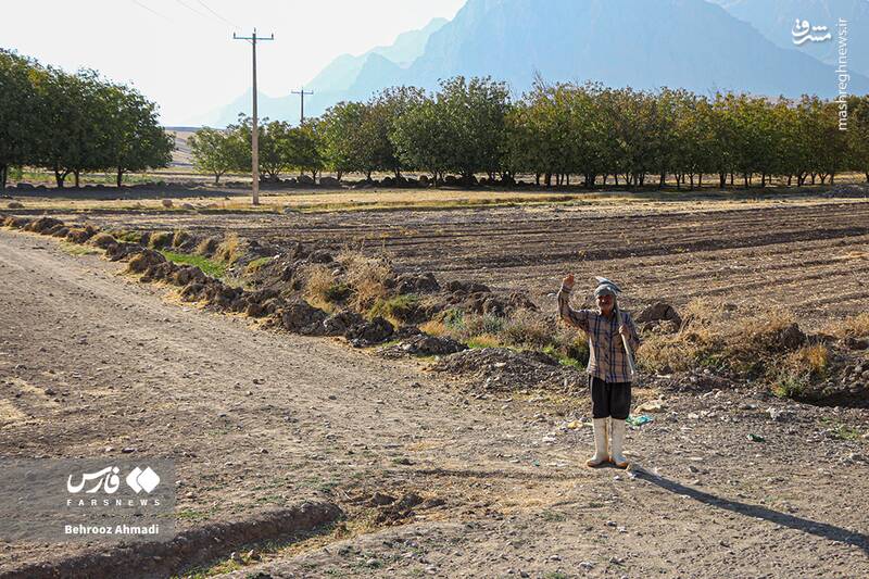 عکس / زندگی عشایر کرمانشاه 9