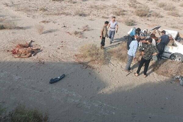 جاسك،شتر،برخورد،سيريك،بشاگرد