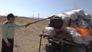 امحای بیش از یک و نیم تن مواد مخدر در زنجان