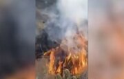 شعله‌های آتش در دامنه‌های دماوند زبانه کشید