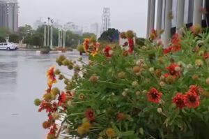 فیلم / بارش‌های پاییزی در راه پایتخت