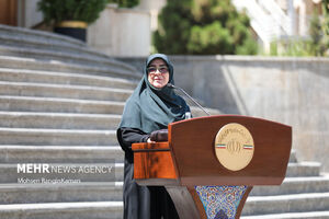 مهاجرانی: واگذاری اختیار به استانداران در حال بررسی است