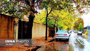 ورود سامانه بارشی به کشور / بارش باران و رعد و برق در برخی مناطق