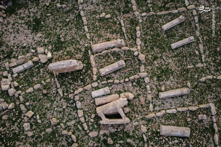 بختياري،شهسوار