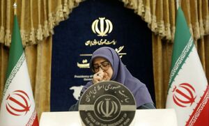 هم دولت را گرفتار کردند هم حالشان به‌هم می‌خورد!