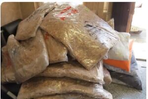 کشف 585 کیلوگرم مواد مخدر در مرسولات پستی