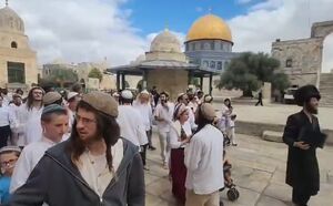 فیلم/ تعرض گروهی صهیونیست‌ها به مسجدالاقصی
