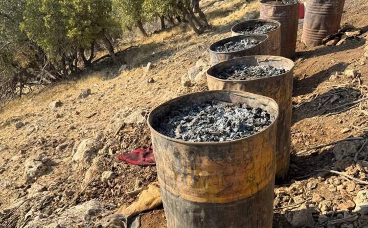 جنگل‌هایی که برای زغال می‌سوزند 3