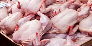 افزایش عرضه گوشت مرغ با قیمت مصوب جدید