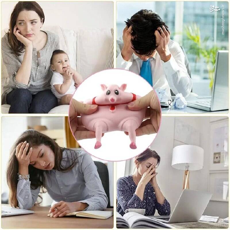 خوك،رسانه،اجتماعي،محصول،نگاه،فروش،همراه،گوريل،تمسخر،چرخه،محت ...