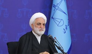 فیلم / یکی از علل مهم تشکیل پروندههای کثیرالشاکی از نگاه اژهای