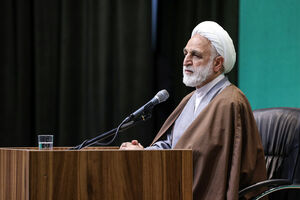 فیلم / تاکید اژهای بر ساماندهی موضوع تهلنجی و کولهبری