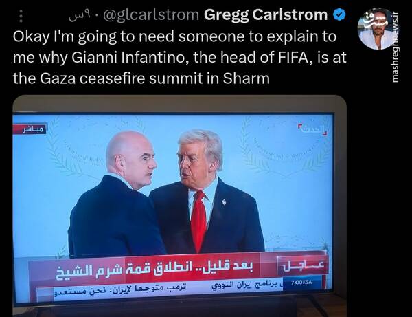 میهمان ناخوانده شرمالشیخ + عکس 3