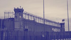 روایت هولناک اسیر فلسطینی از «تحقیر، شکنجه و مرگ» در زندانهای اسرائیل روایت هولناک اسیر فلسطینی از «تحقیر، شکنجه و مرگ» در زندانهای اسرائیل