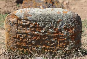 عکس/ سنگ‌نگاره‌های تاریخی یک آرامستان