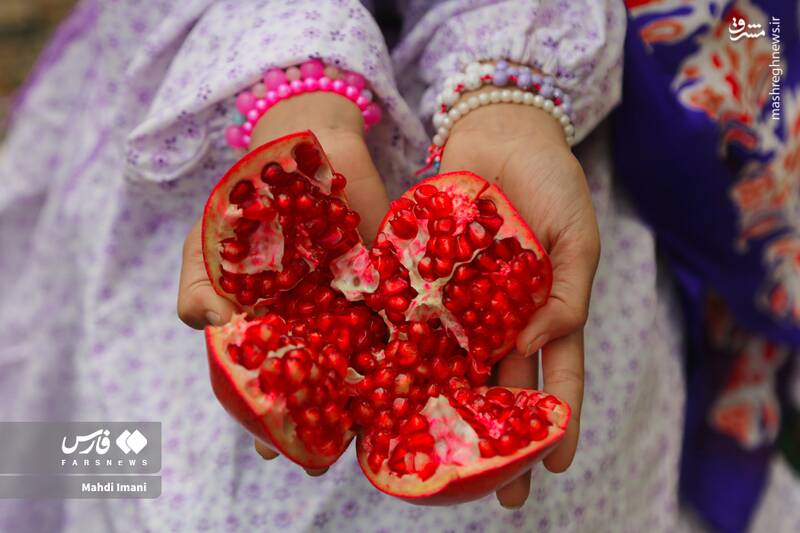 عکس / جشن سرخی زندگی در قرهداغ آذربایجان 7