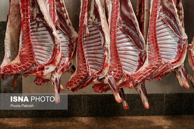 درصد،گوشت،دام،قرمز