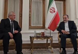فیلم / دیدار نماینده پوتین در امور سوریه با عراقچی