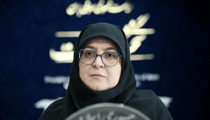 سخنگوی دولت: برای مهار نوسانات ارزی برنامه‌های دقیق و چندلایه داریم