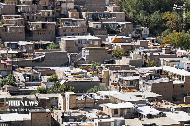 عکس / برداشت و خشک کردن سنتی آلو در خور 30
