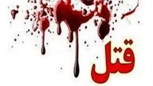 خرید جهیزیه عروس خون به پا کرد
