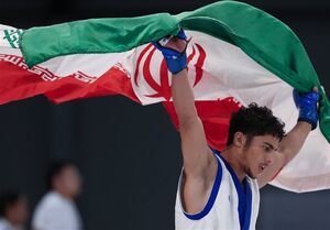طلای نماینده MMA ایران نقره شد