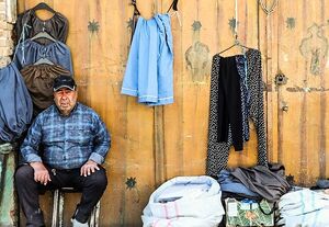 عکس/ در تکاپوی یک لقمه نان