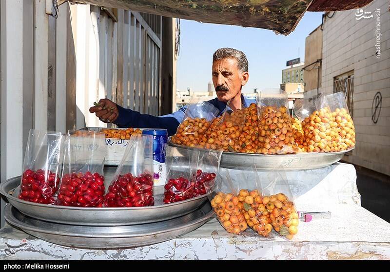 عکس / در تکاپوی یک لقمه نان 4