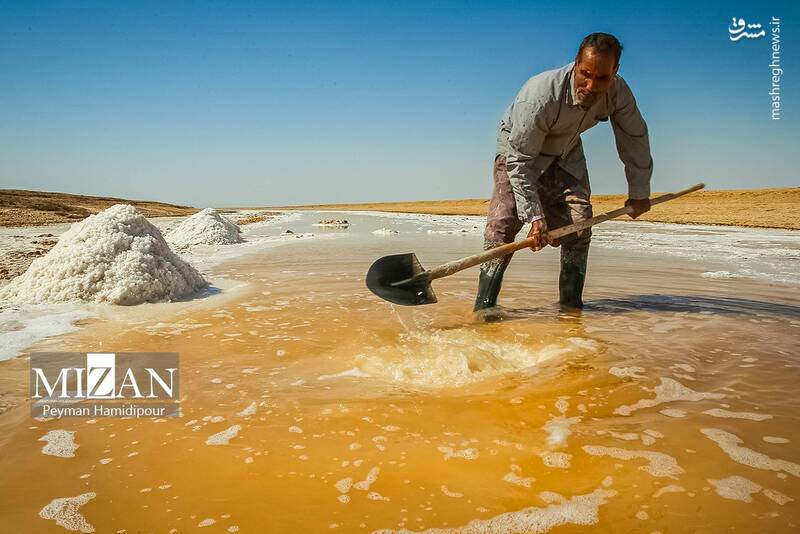 عکس / برداشت سنتی نمک در خراسان شمالی 13