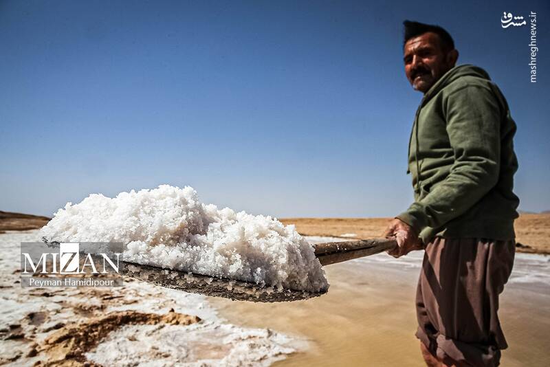عکس / برداشت سنتی نمک در خراسان شمالی 19