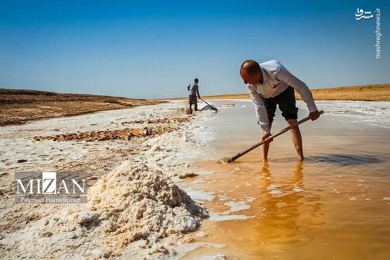 عکس / برداشت سنتی نمک در خراسان شمالی 16