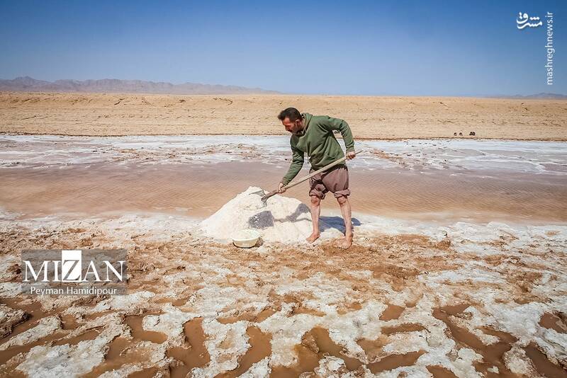 عکس / برداشت سنتی نمک در خراسان شمالی 14