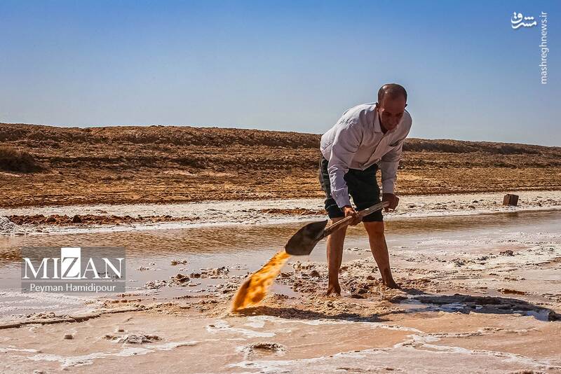 عکس / برداشت سنتی نمک در خراسان شمالی 12