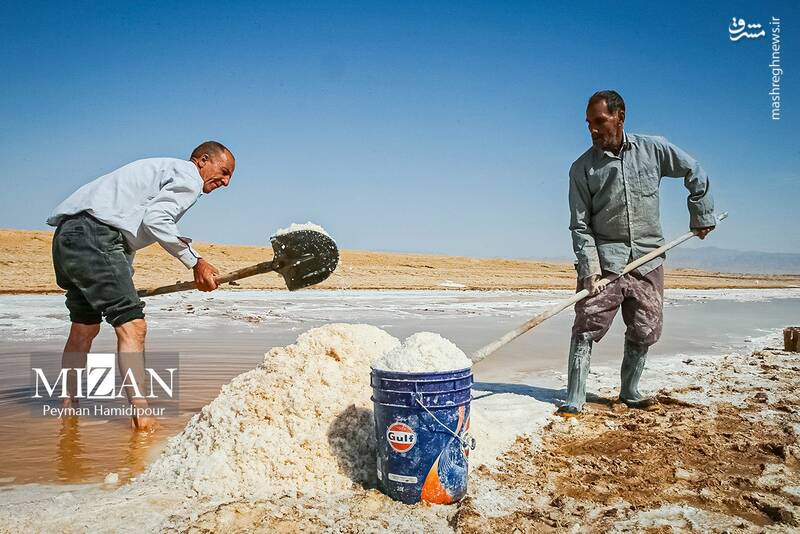 عکس / برداشت سنتی نمک در خراسان شمالی 11