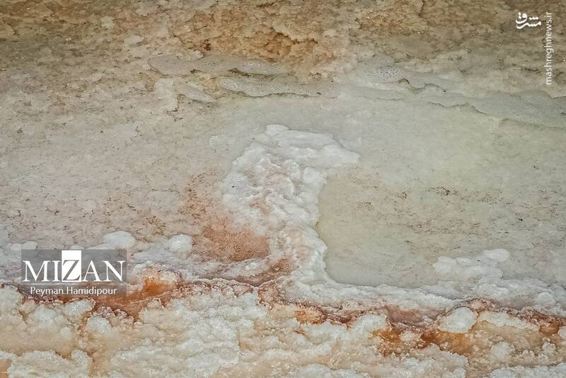 عکس / برداشت سنتی نمک در خراسان شمالی 10