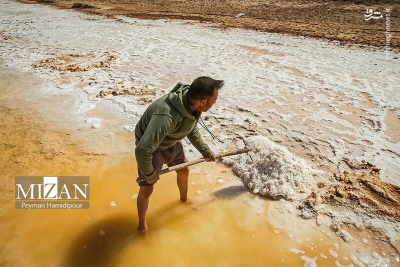 عکس / برداشت سنتی نمک در خراسان شمالی 7