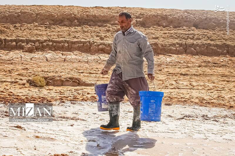 عکس / برداشت سنتی نمک در خراسان شمالی 2