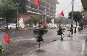 فیلم / بارش باران در شمال کشور