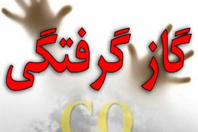 مراقب قاتل خاموش خانهها باشید 3
