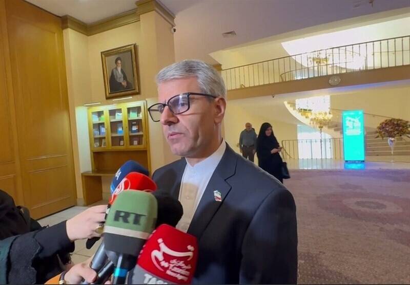  بقائی: سازمان ملل در آزمون‌های اخیر عملکرد مطلوبی نداشت